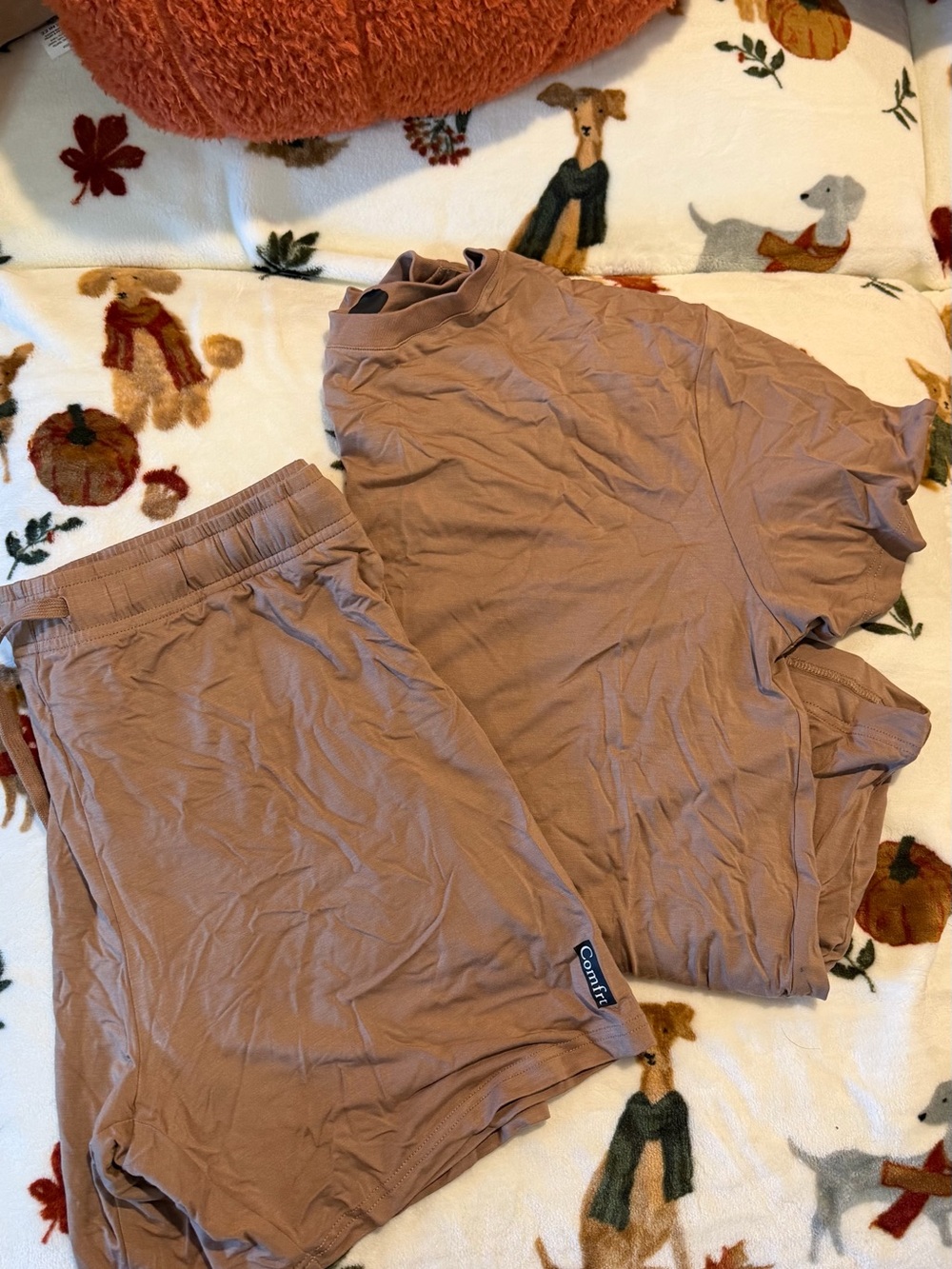 Comfort Colors Women's Brown Lounge Set - Soft Short Sleeve Tee & Shorts